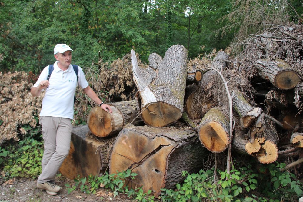 Wolfgang Dötsch vor Totholz
