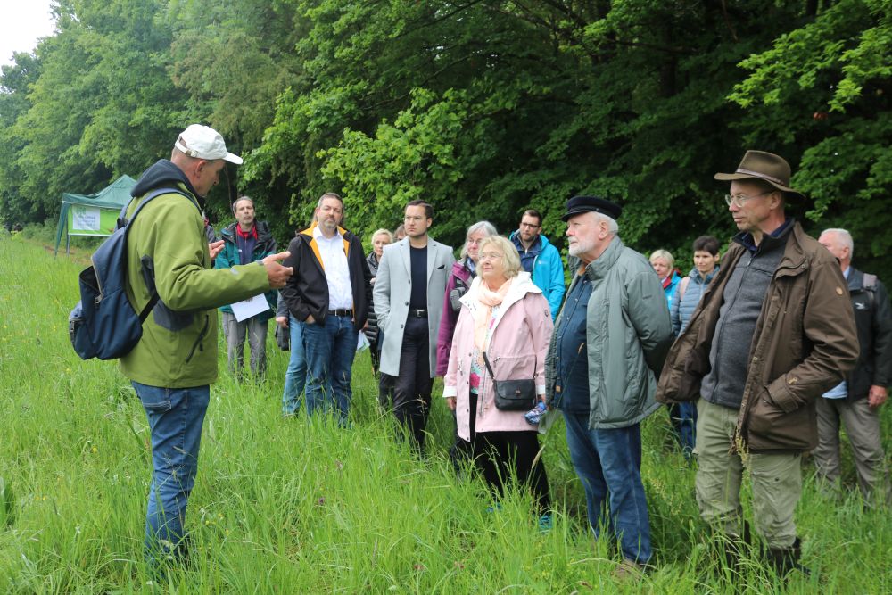 Vorstellung der Orchideenwiese