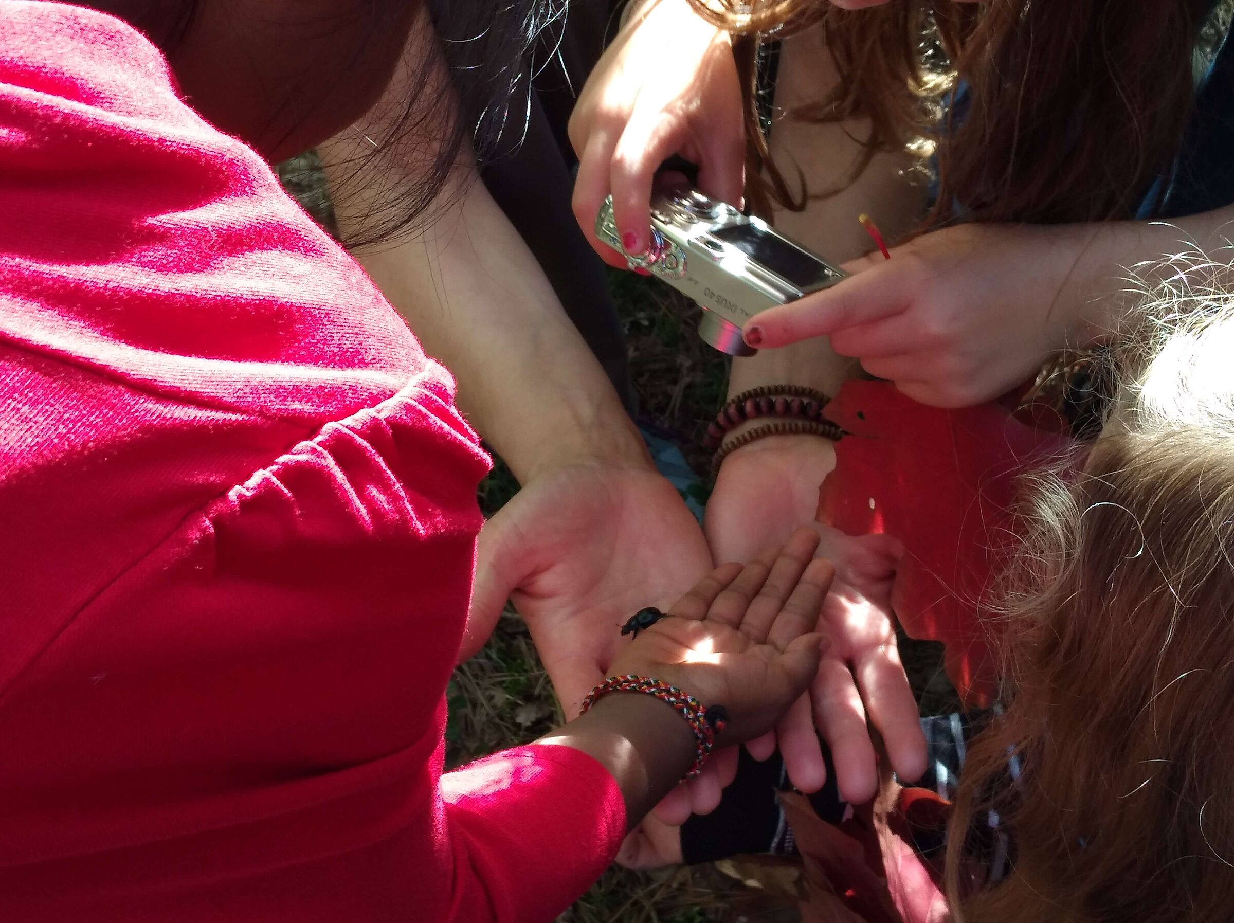 Naturerforschung (Foto: Barbara Philipp) Naturerforschung