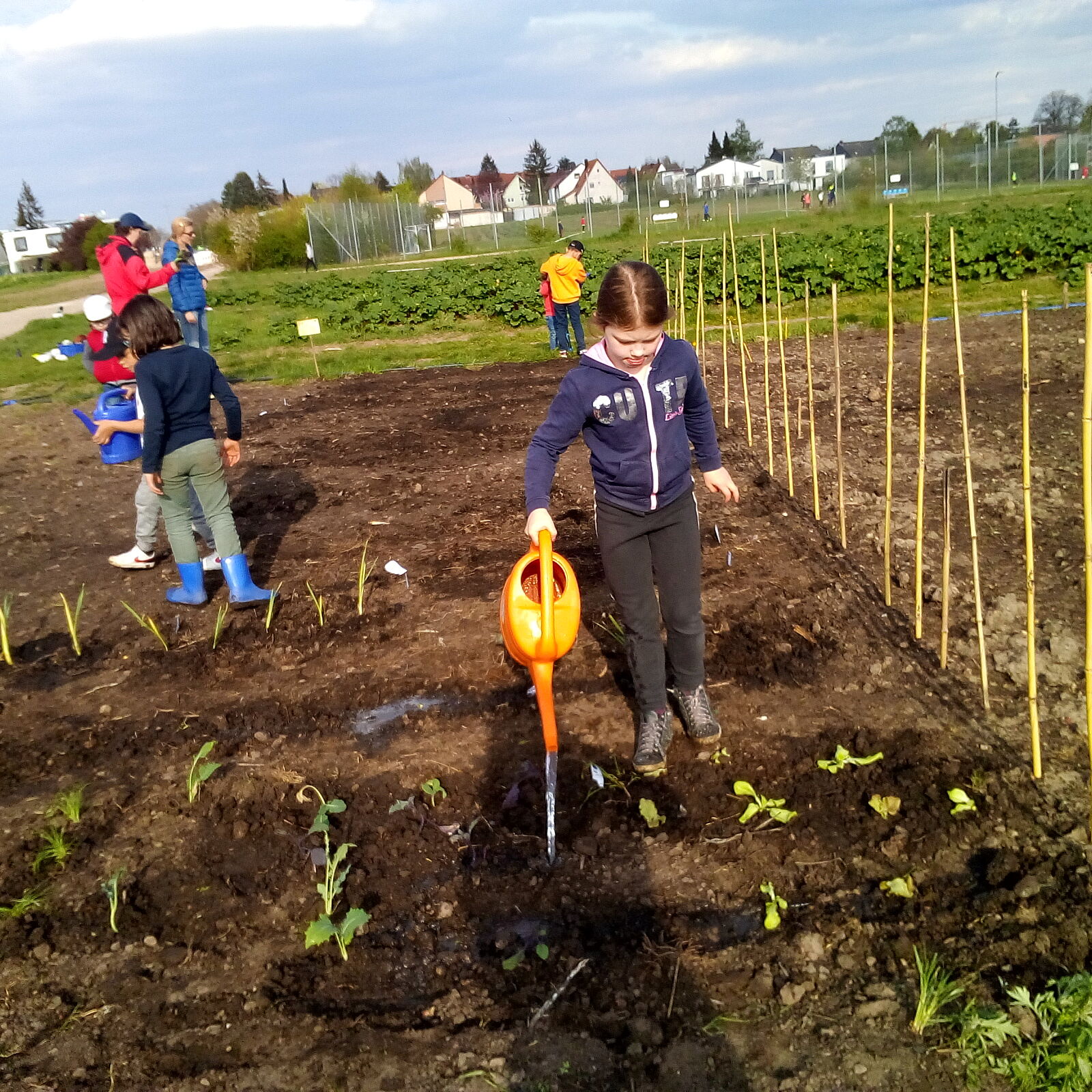Gemüseackergruppe (Foto: Cornelia Rotter) Gemüseackergruppe