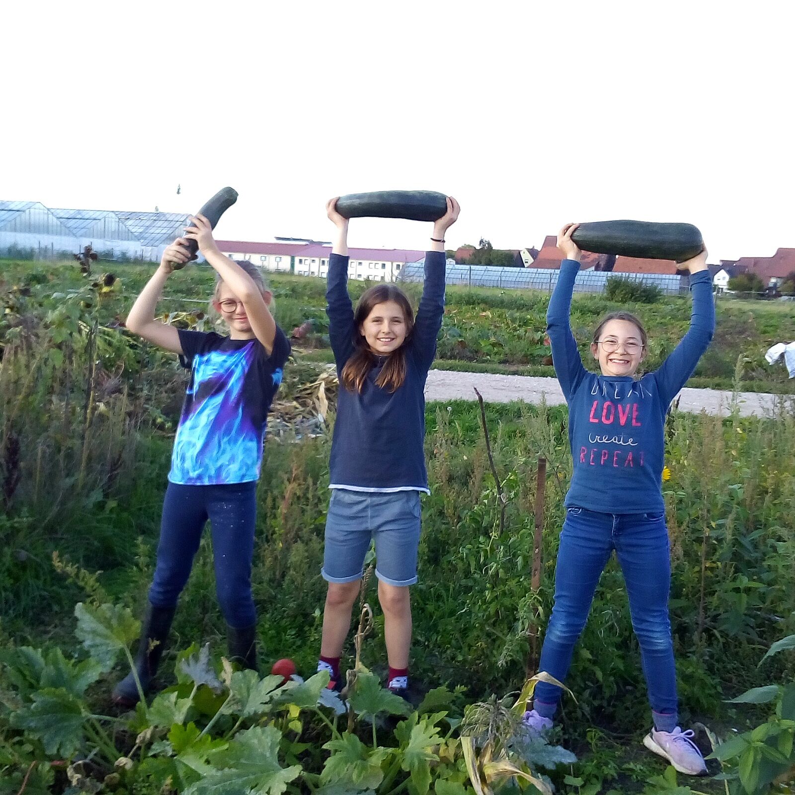 Zucchini-Gärtnerinnen (Foto: Cornelia Rotter) Zucchini-Gärtnerinnen