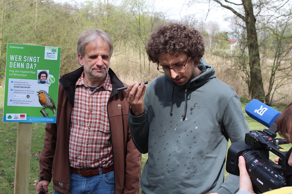Aufnahme einer Vogelstimme