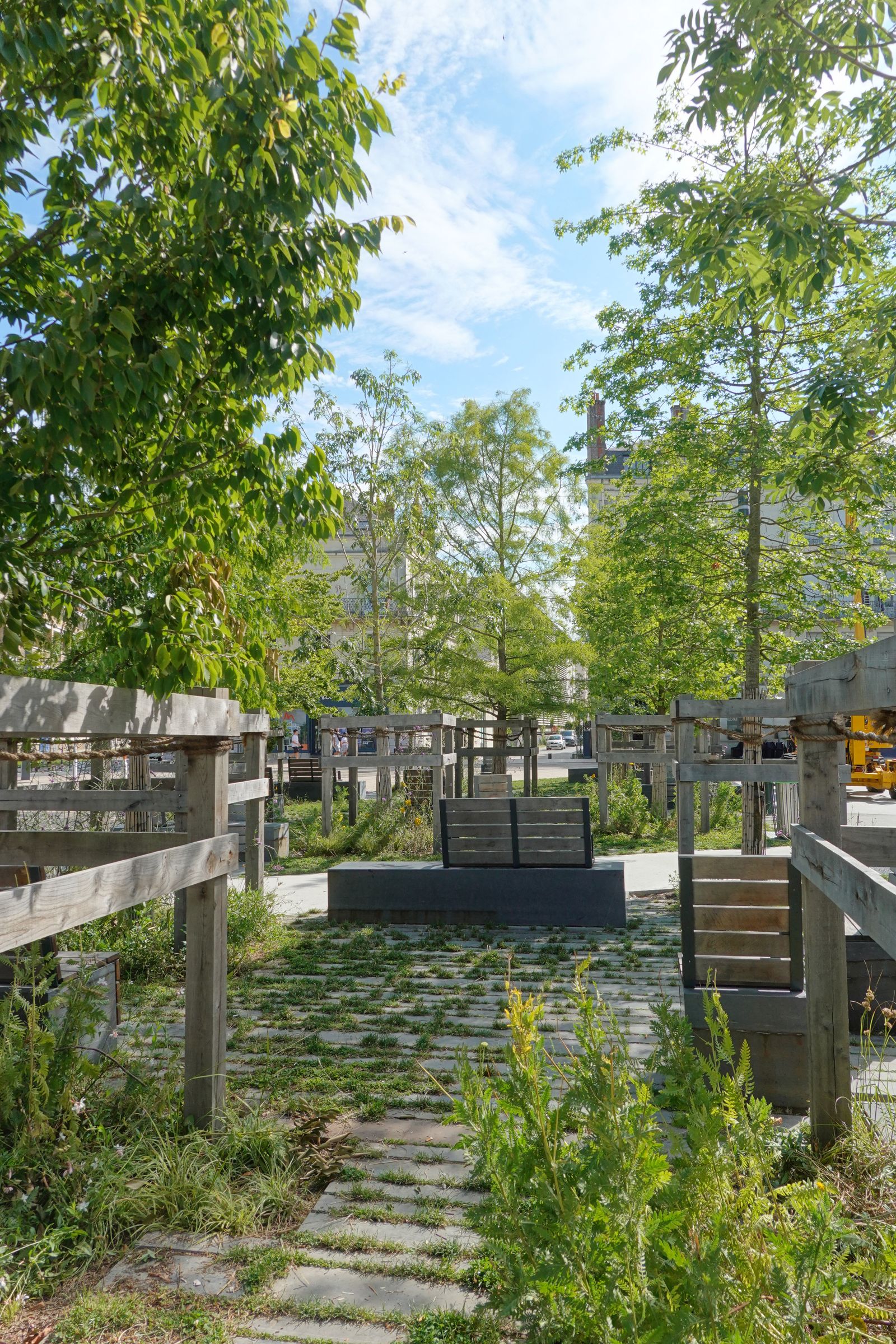 Tiny Forest (Foto: CHROMORANGE / Harald Jahn) Tiny Forest