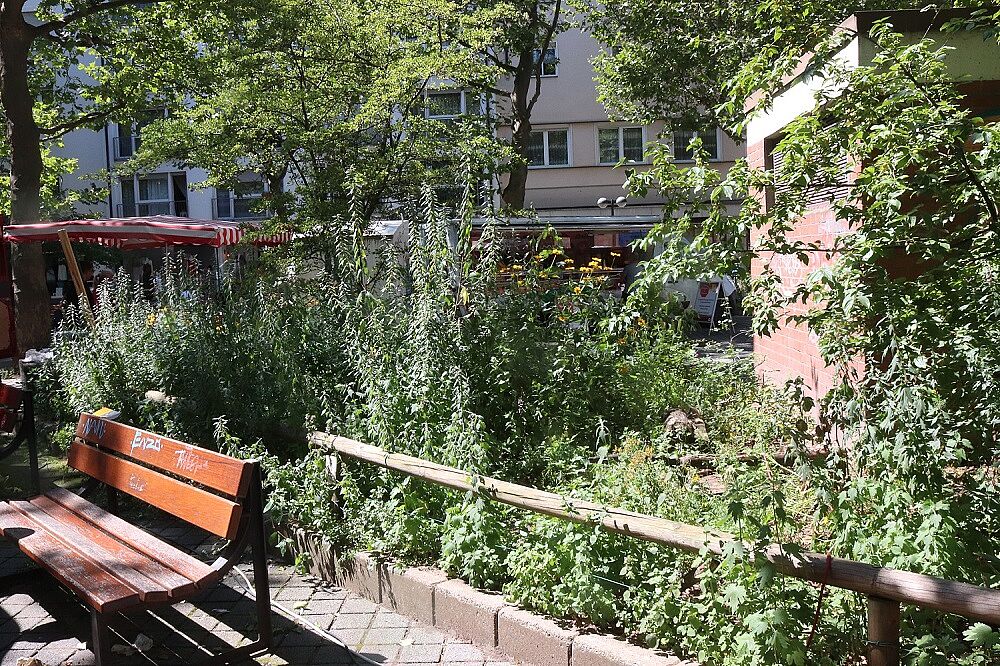 Beet auf dem Kopernikusplatz