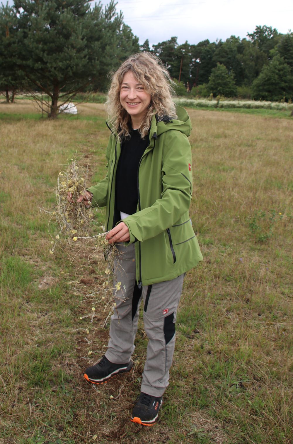 Pressetermin Sand-Strohblume: Britta Lajoie