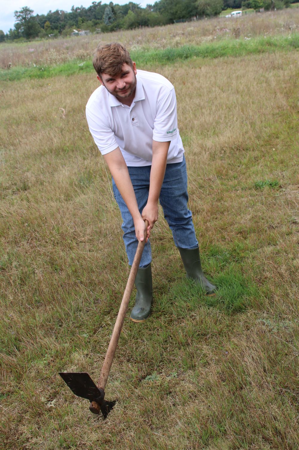 Pressetermin Sand-Strohblume: Schaeffler-Azubi