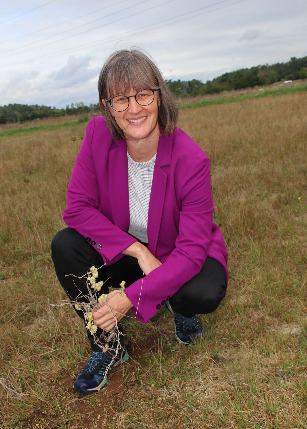 Pressetermin Sand-Strohblume: Britta Walthelm