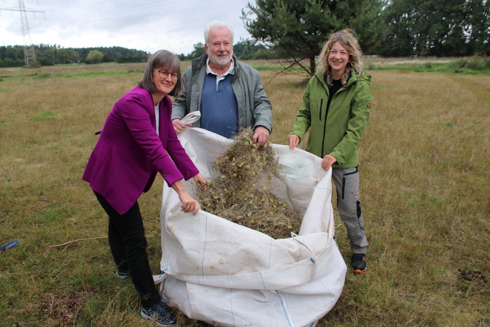 Pressetermin Sand-Strohblume: Britta Walthelm, Klaus-Peter Murawski, Britta Lajoie