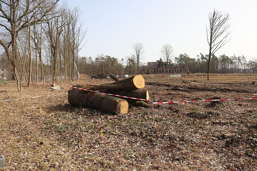 Rodung August-Meier-Heim