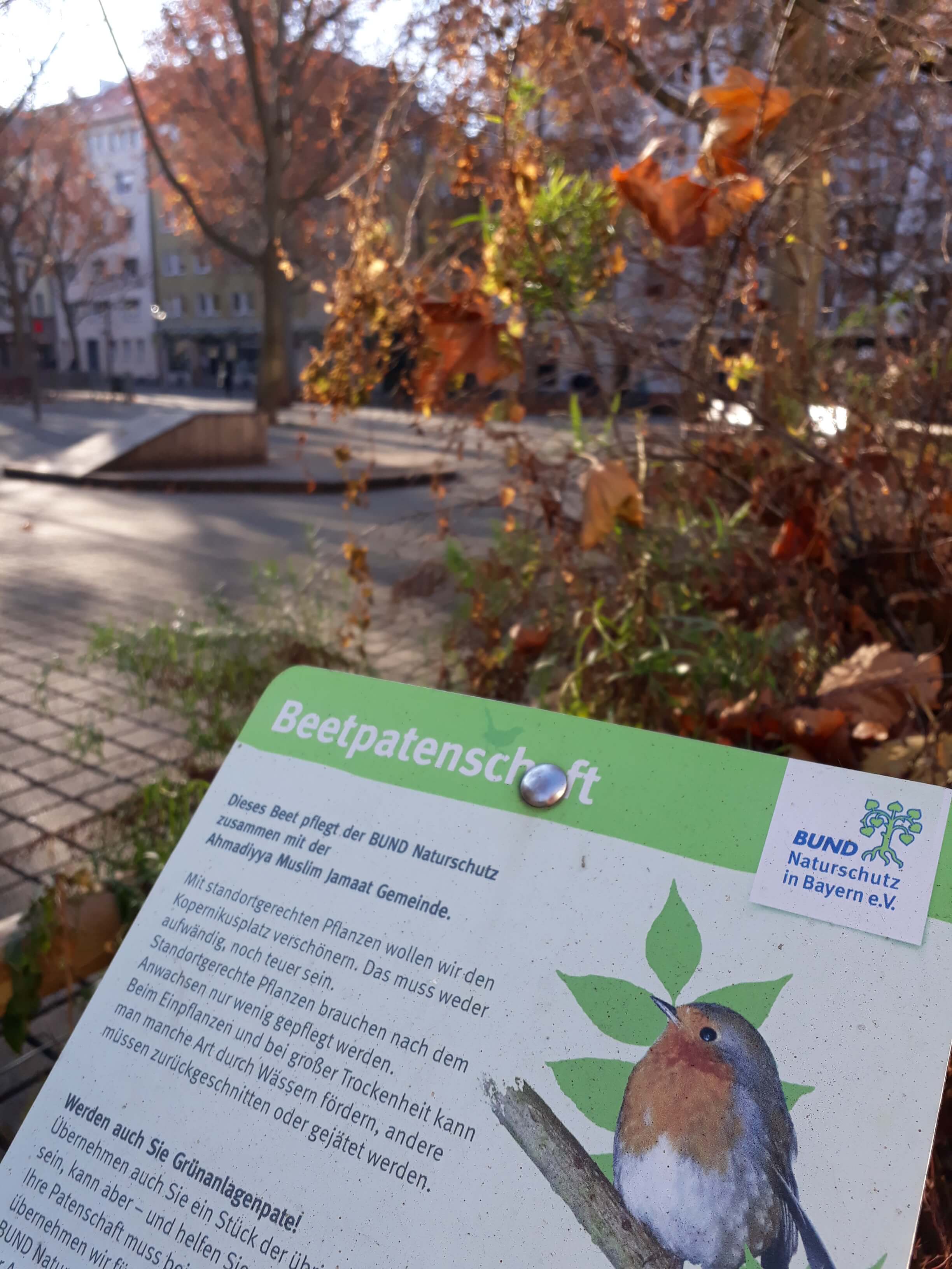 Beetpatenschaft Kopernikusplatz