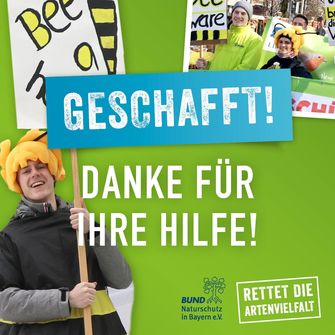 Rettet die Bienen – geschafft!