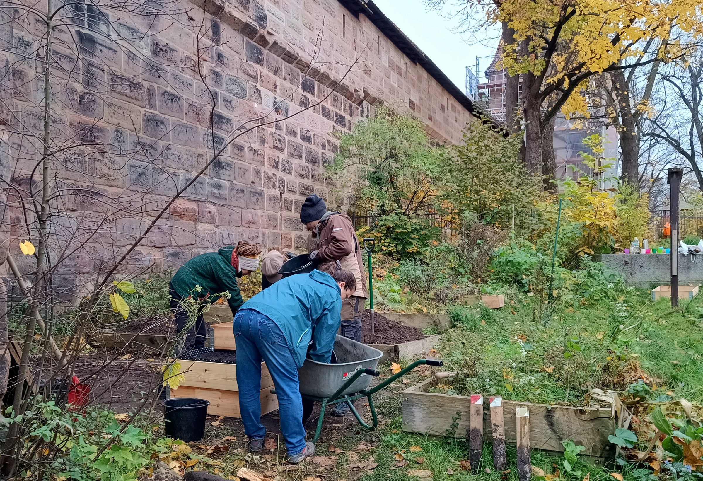Arbeitseinsatz auf der Spittlertormauer (Foto: Andrea Reif) Arbeitseinsatz auf der Spittlertormauer