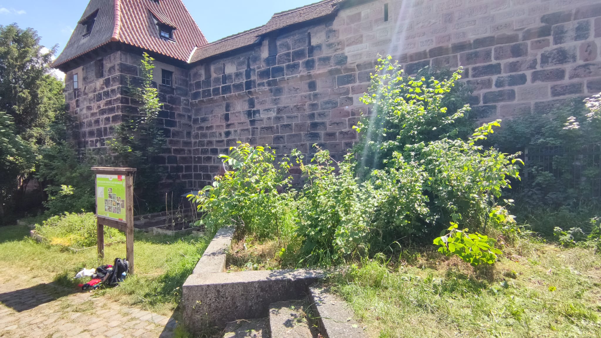 Auf der Mauer (Foto: Barbara Philipp) Auf der Mauer