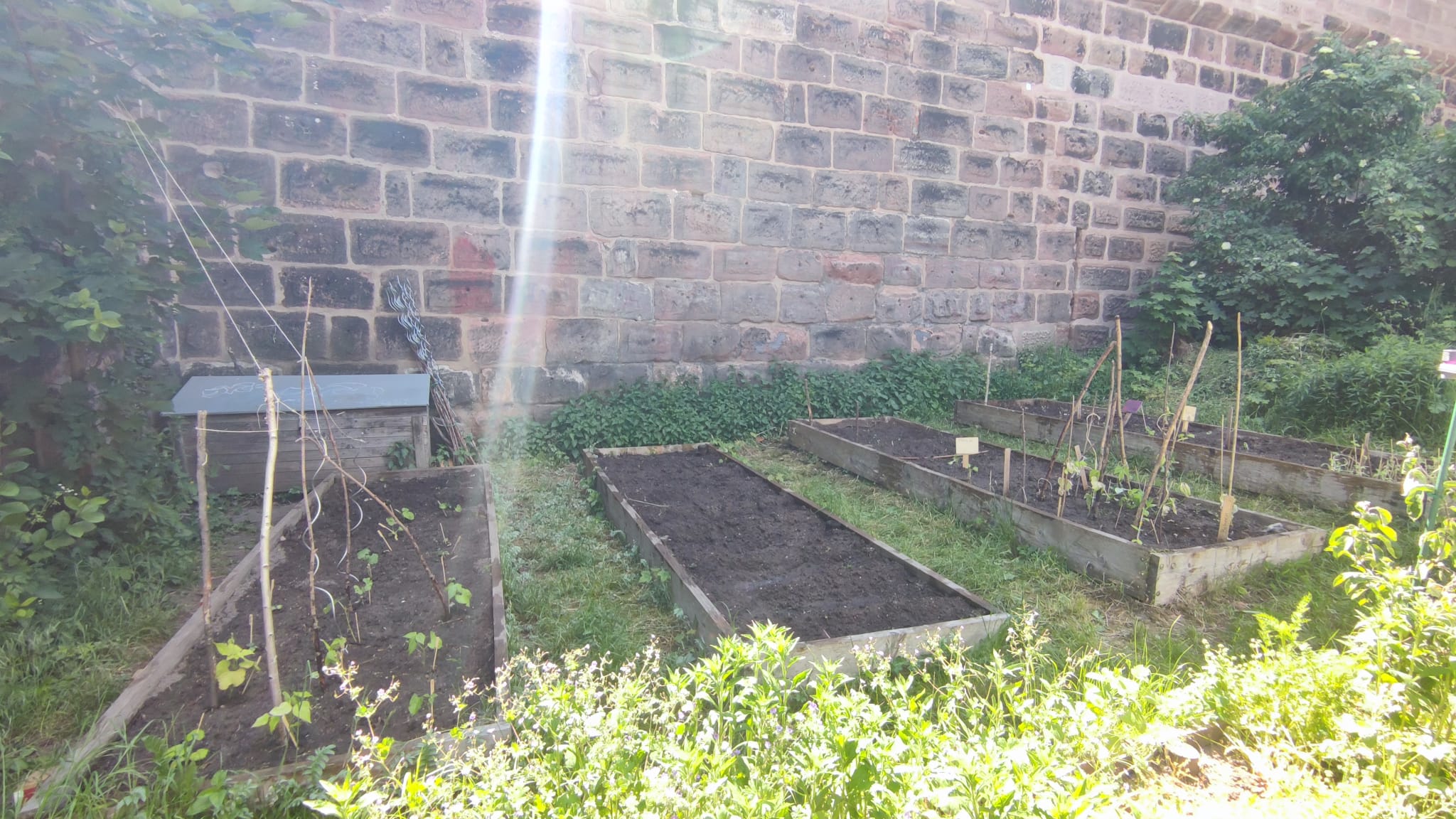 Beete an der Mauer (Foto: Barbara Philipp) Beete an der Mauer