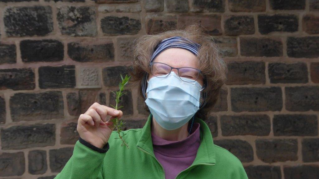 Bohnenkraut ist scharf