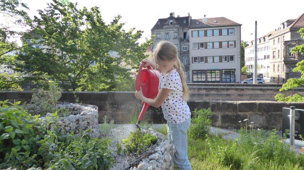 Kräuterschnecke Kräuterschnecke