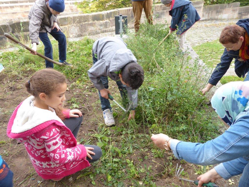 Vorbereitung des Bodens