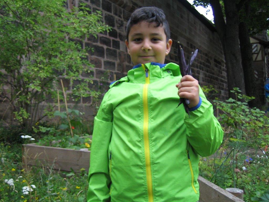 Blaue Bohnen Blaue Bohnen