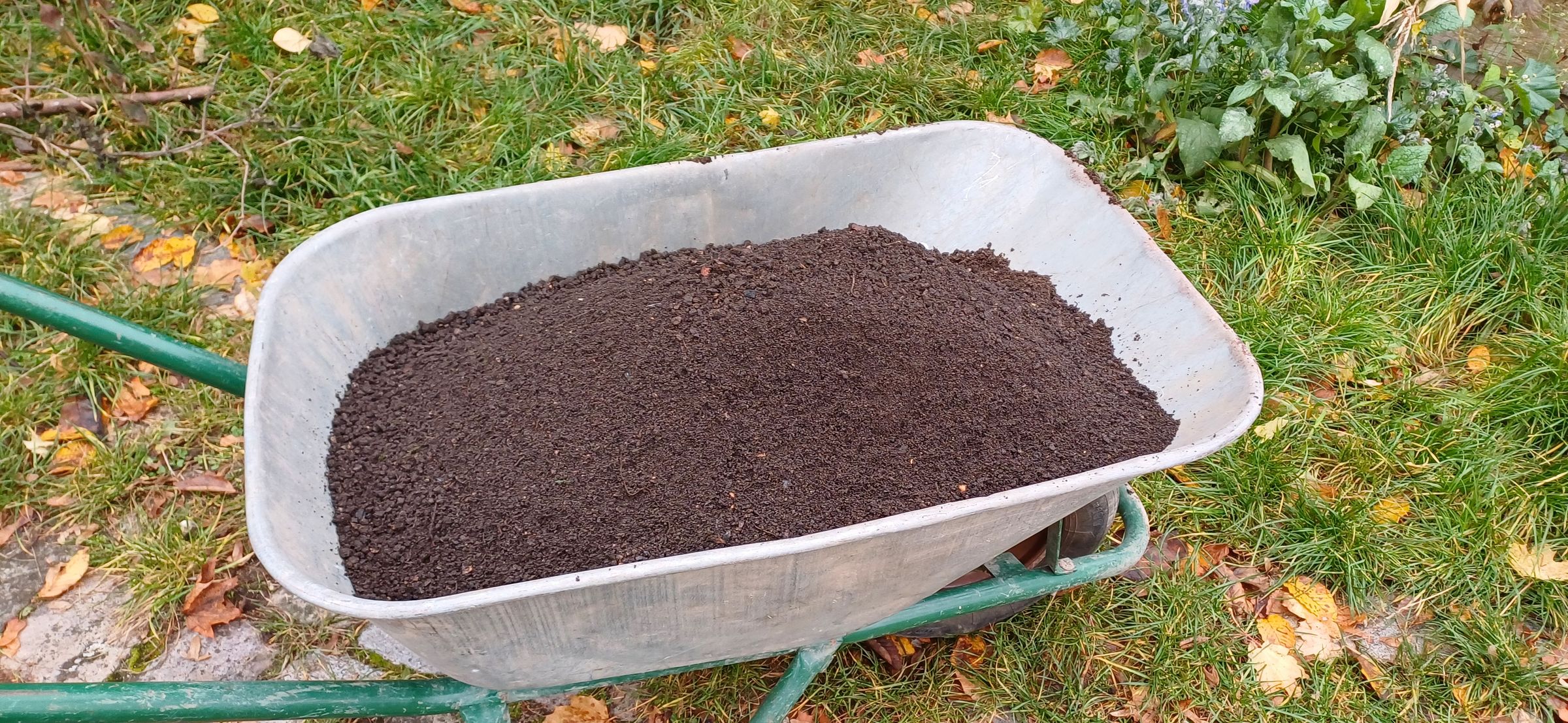 gute Erde von SöR (Foto: Sonja Moises) gute Erde von SöR