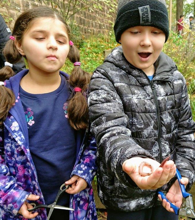 Regenwurmfreunde Regenwurmfreunde