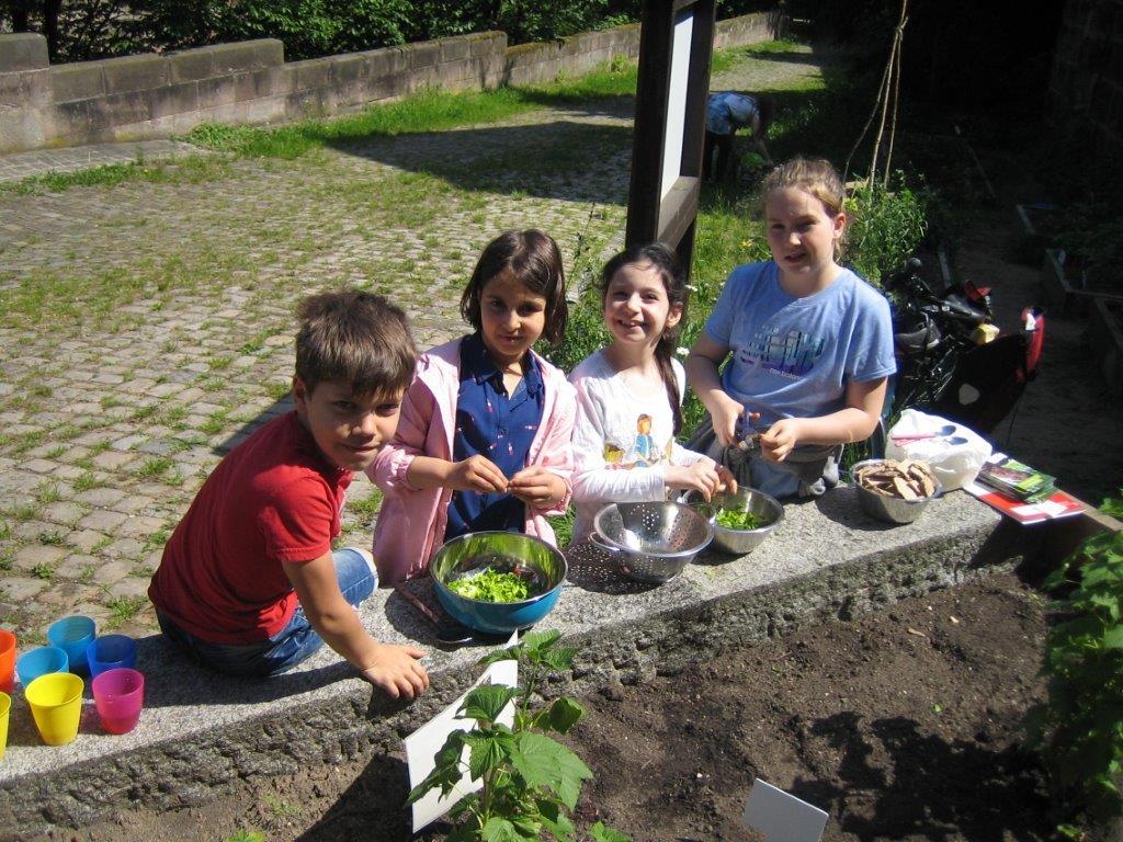 Zubereitung von Mauersalat Zubereitung von Mauersalat