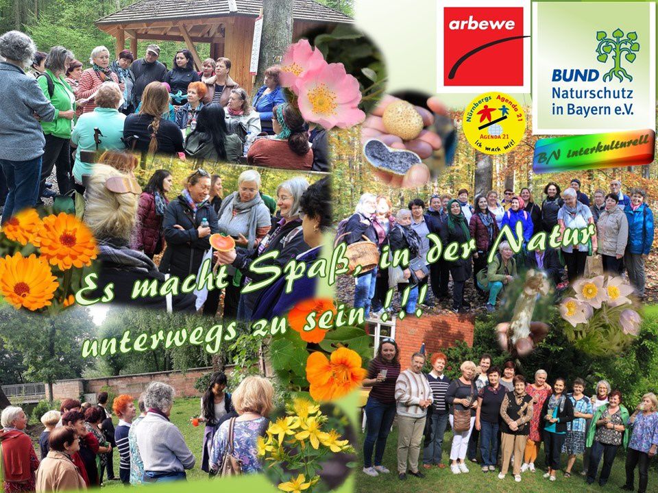 Interkulturelle Pilzwanderung