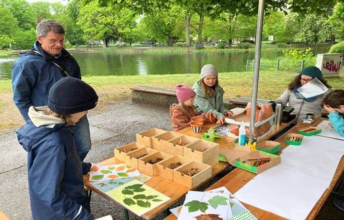 Baumquiz (Foto: Antje Männel) Baumquiz