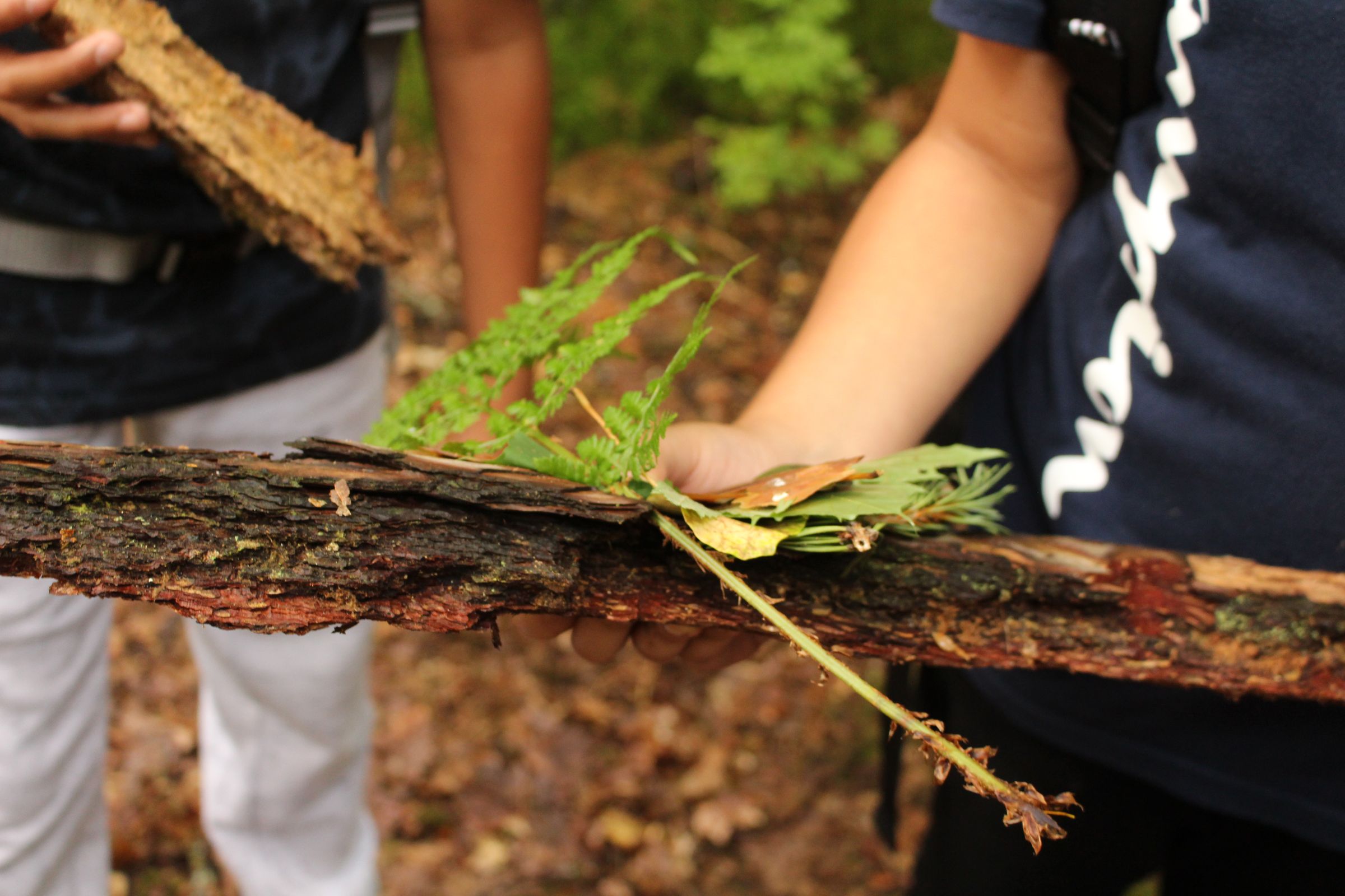 „Wir haben Sachen gesammelt und eine Waldausstellung gemacht. Dafür haben wir verschiedene Gegenstände geordnet. Und dann haben wir das Waldhaus wieder aufgebaut. Wir haben auch einen Mistkäfer beobachtet.“