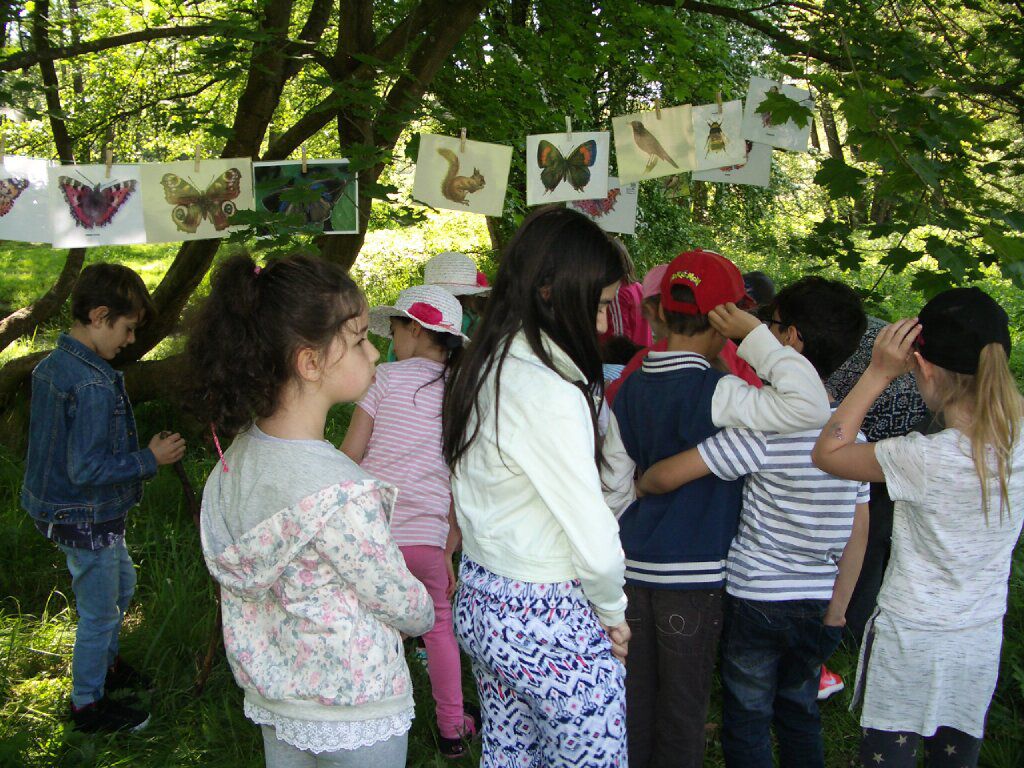 Noch mehr Heckeninfo