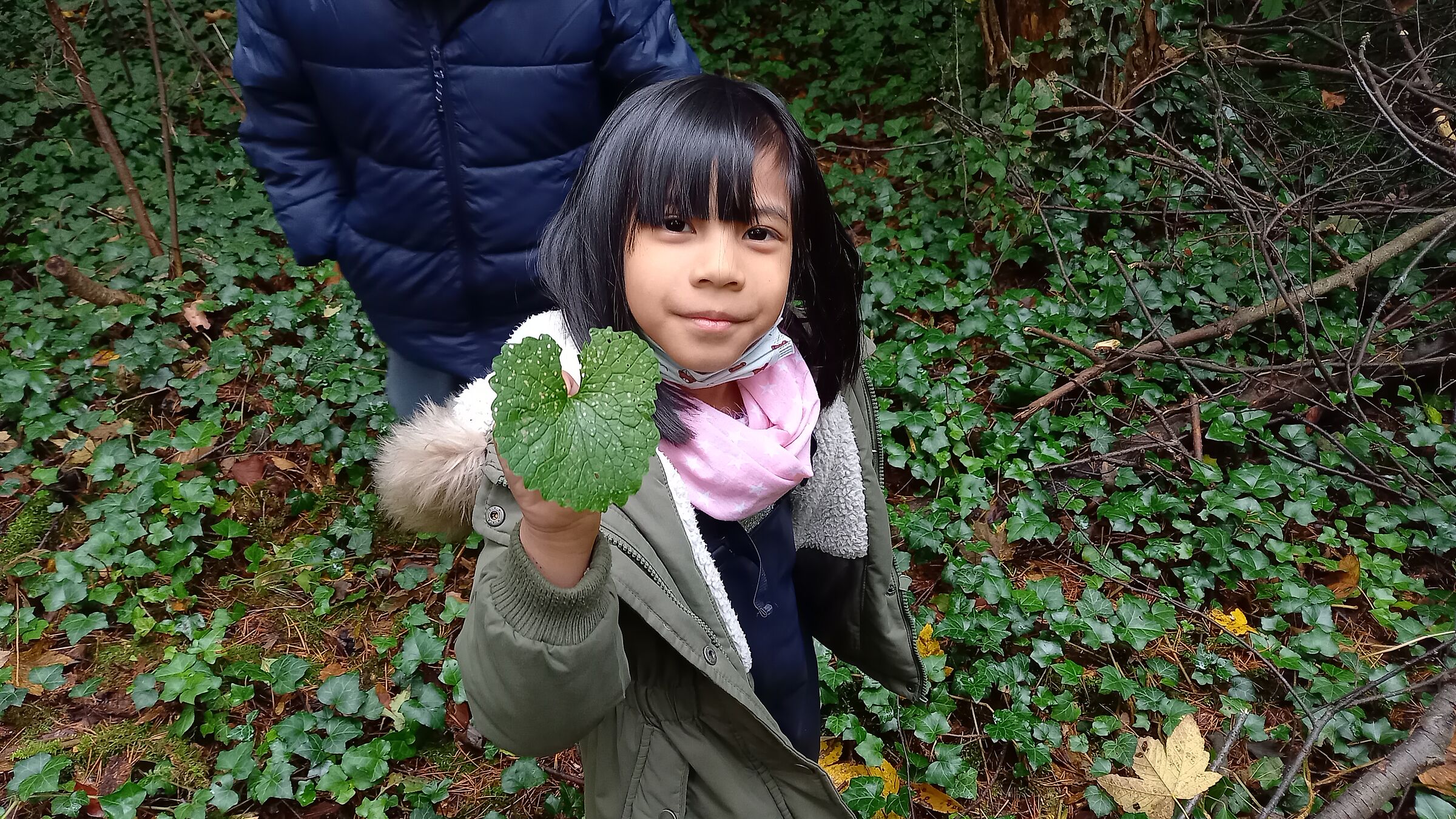 Knoblauchsraukenkind