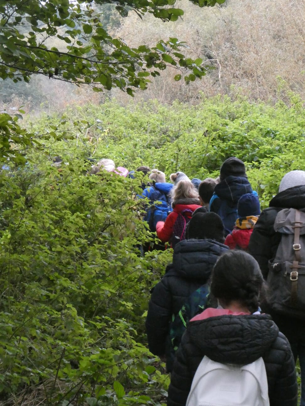 Ab durch die Hecke (Foto: Anna Vogel) Ab durch die Hecke