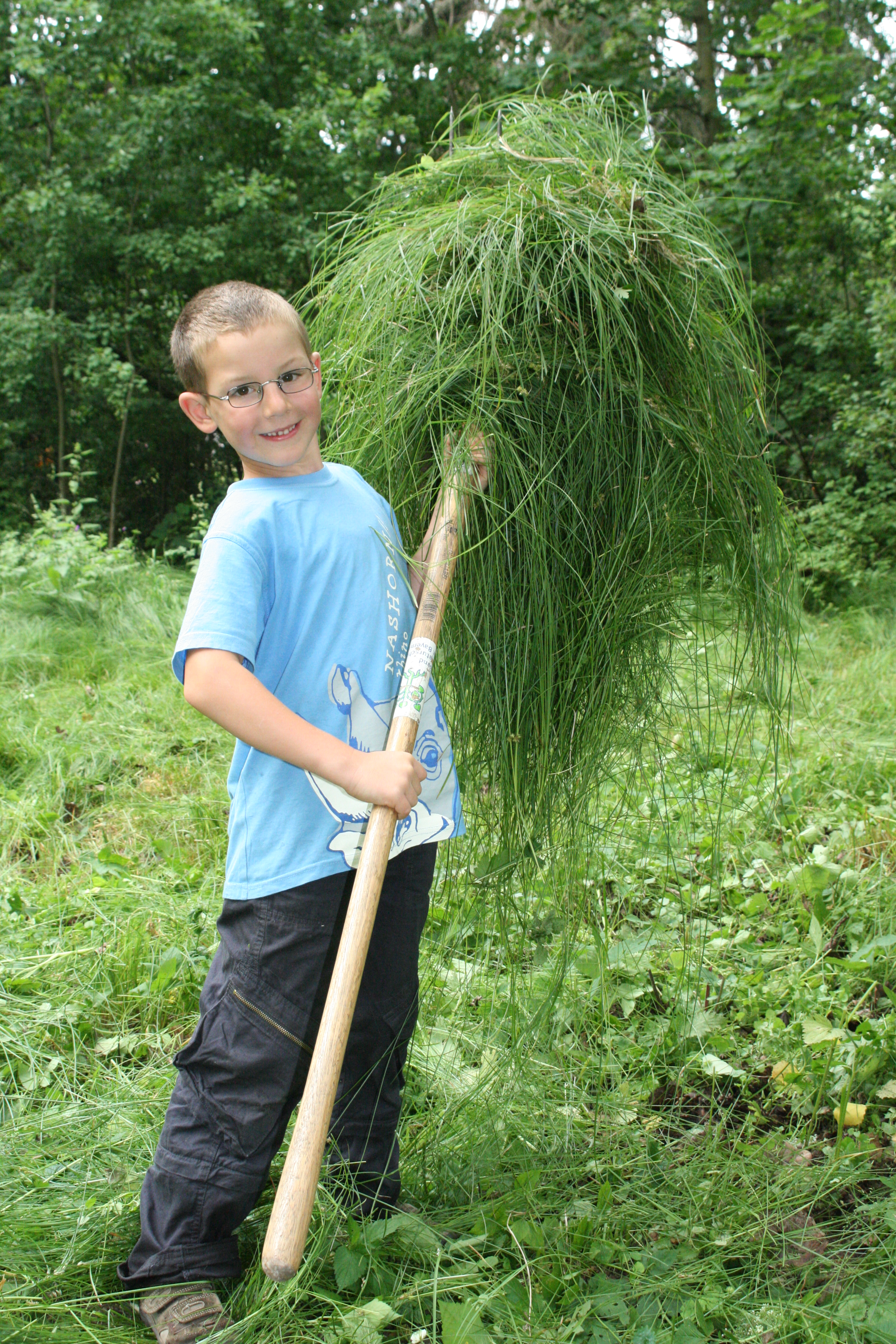 Sensenmähkurs Goldbach