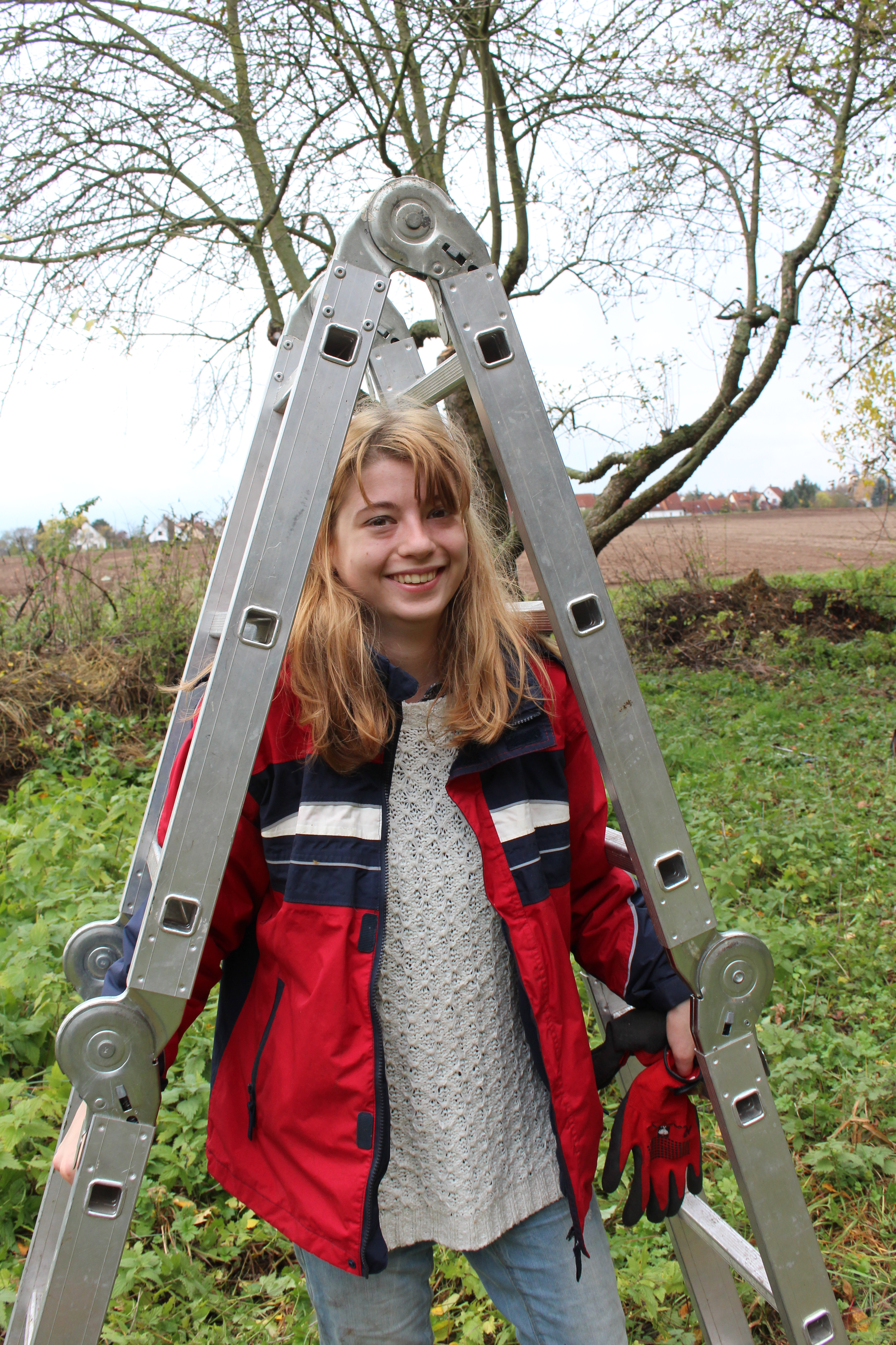 BuFDi Zlata bei der Arbeit