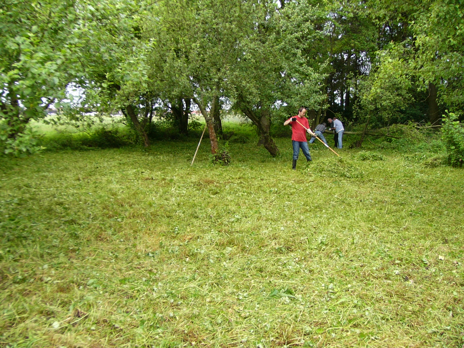 Mahd der Streuobstwiese