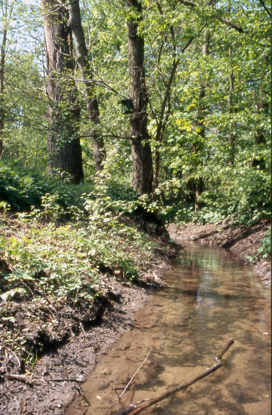 Röthenbacher Landgraben