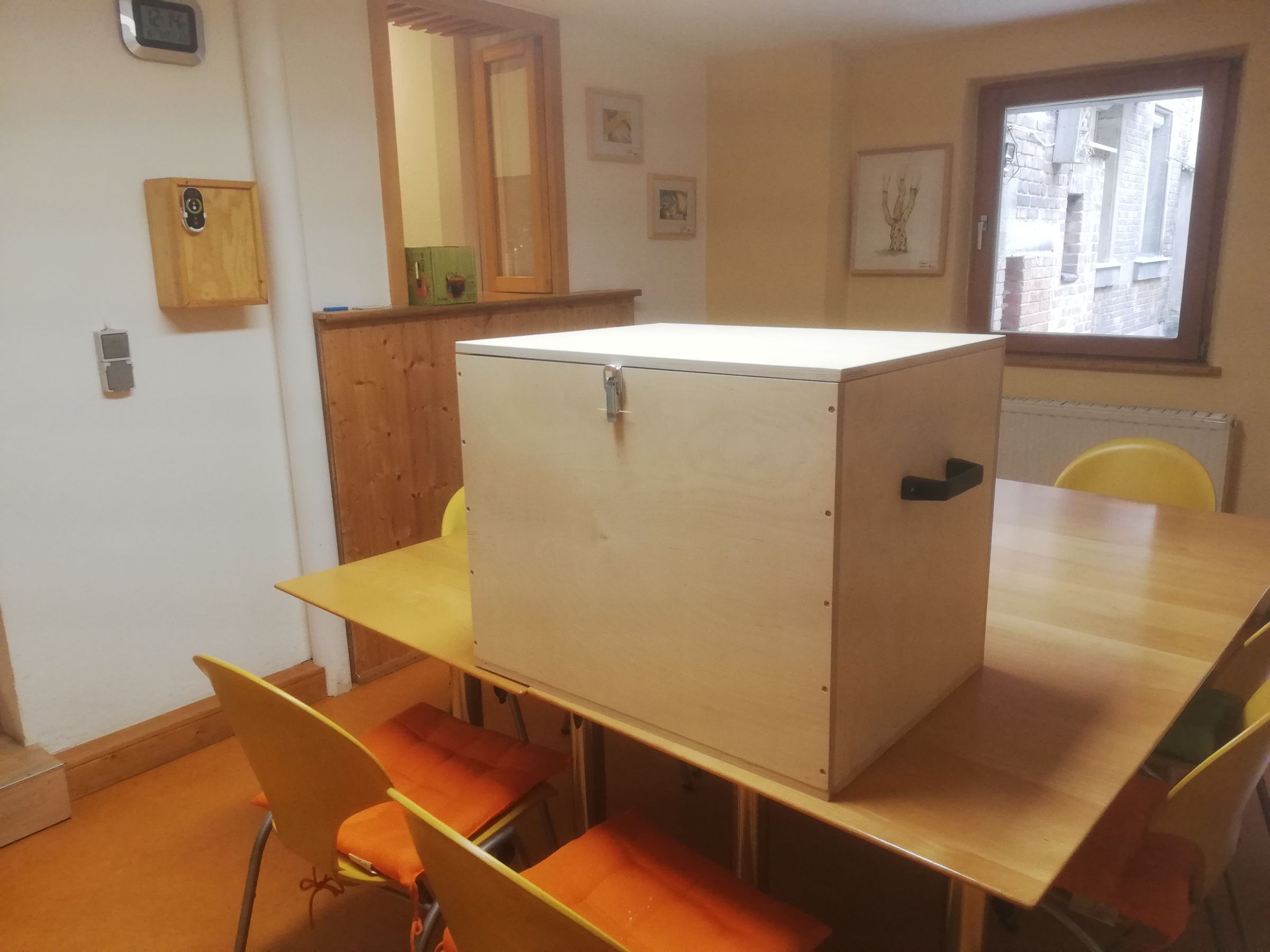 Transportbox (60 cm x 40 cm x 35 cm)