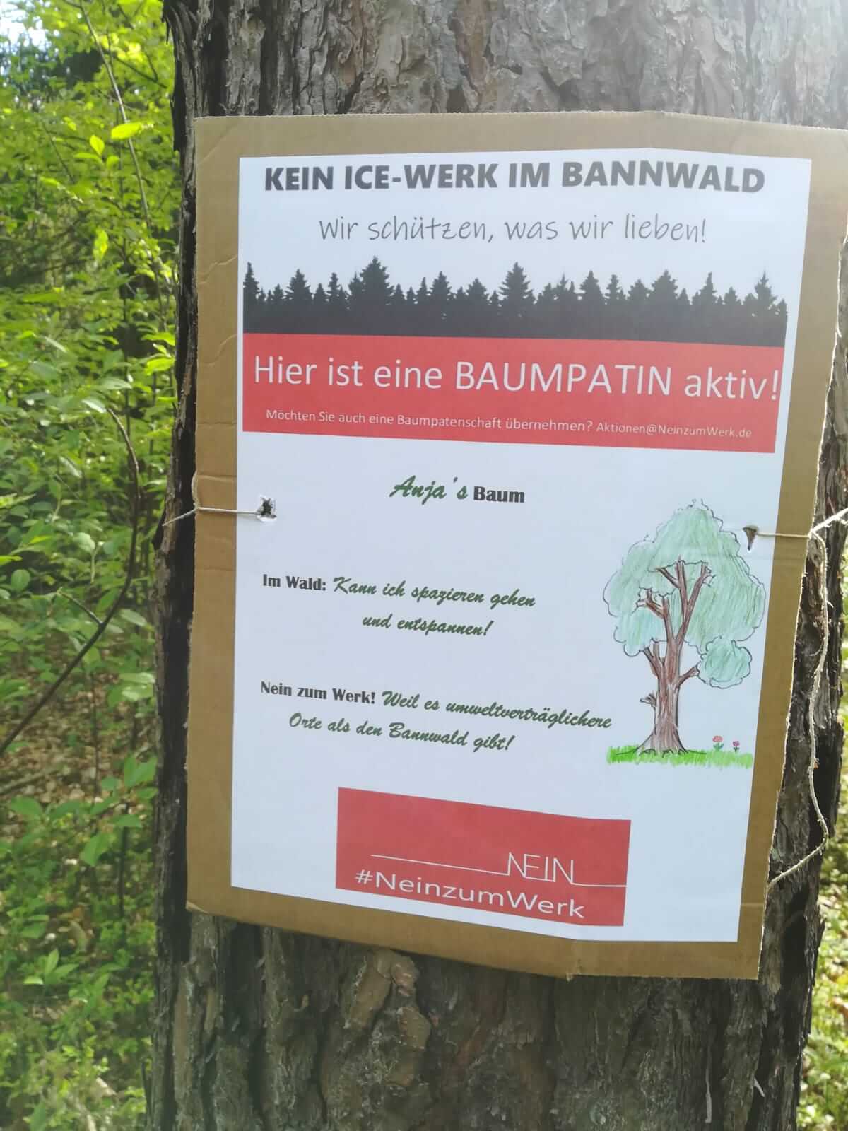 Foto: Julia Gehrling