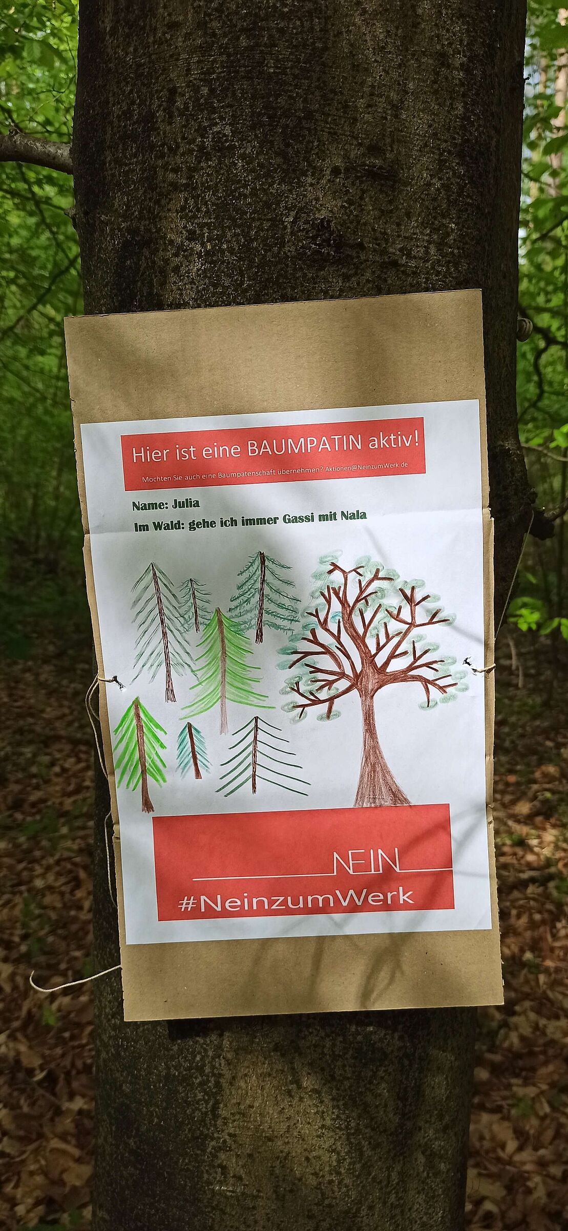 Foto: Julia Gehrling