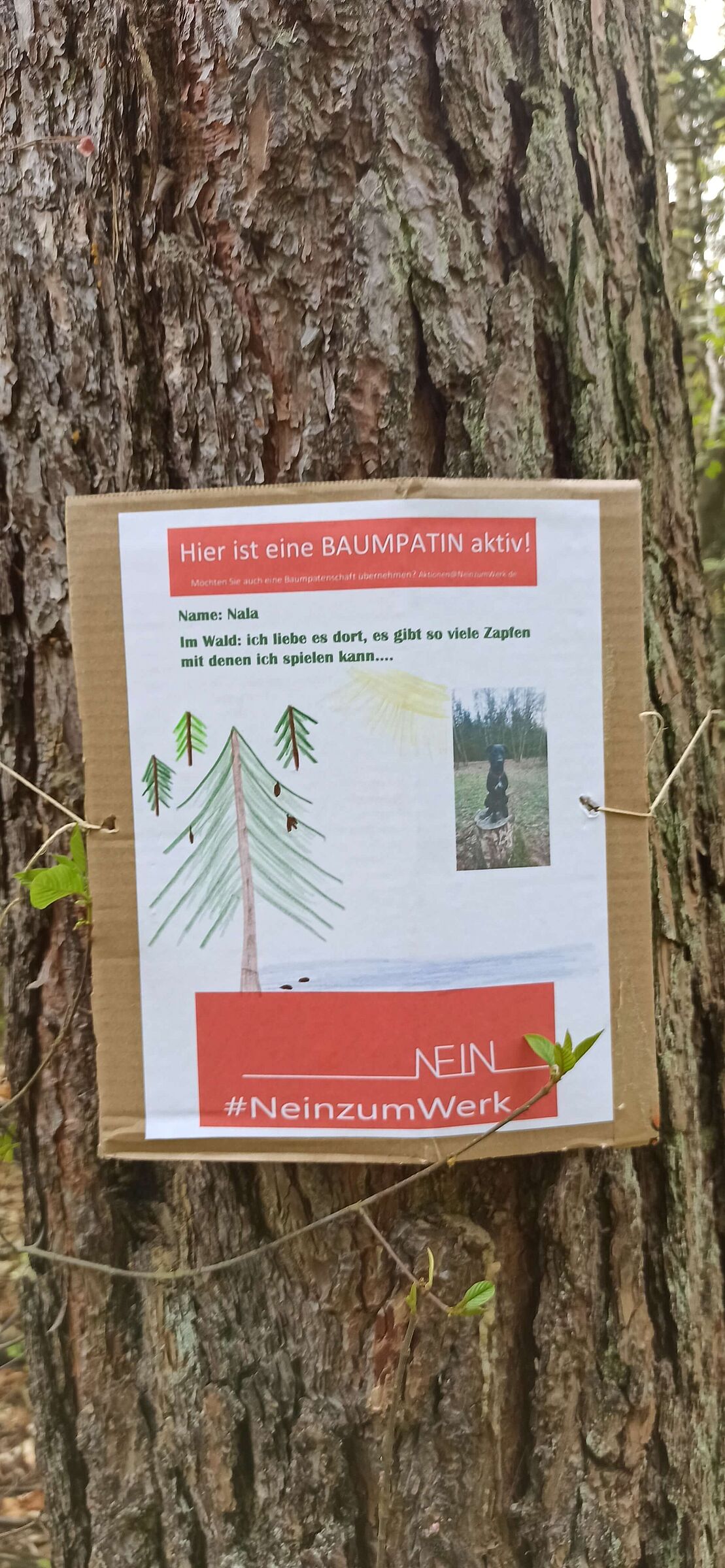 Foto: Julia Gehrling