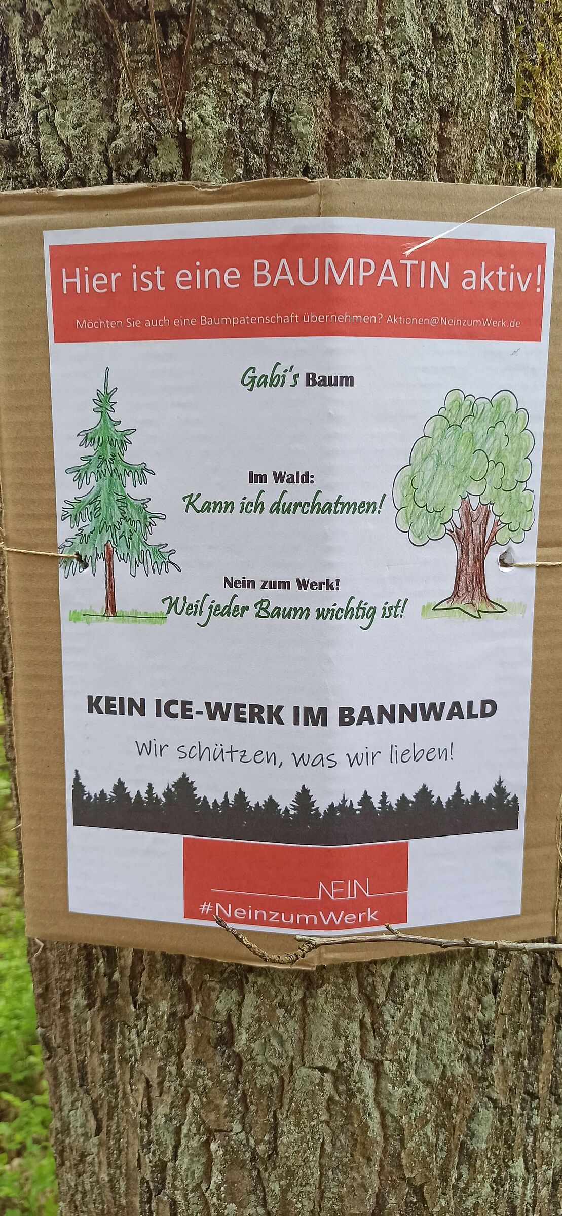 Foto: Julia Gehrling