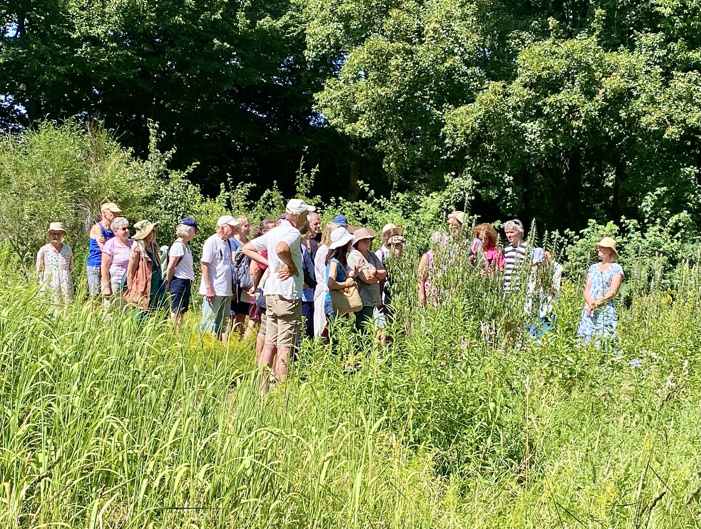 Führung im InsektenReich