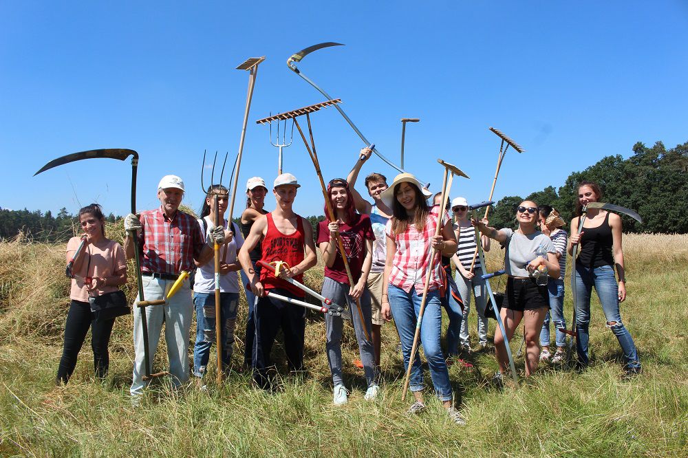 Biotoppflege Kornburg