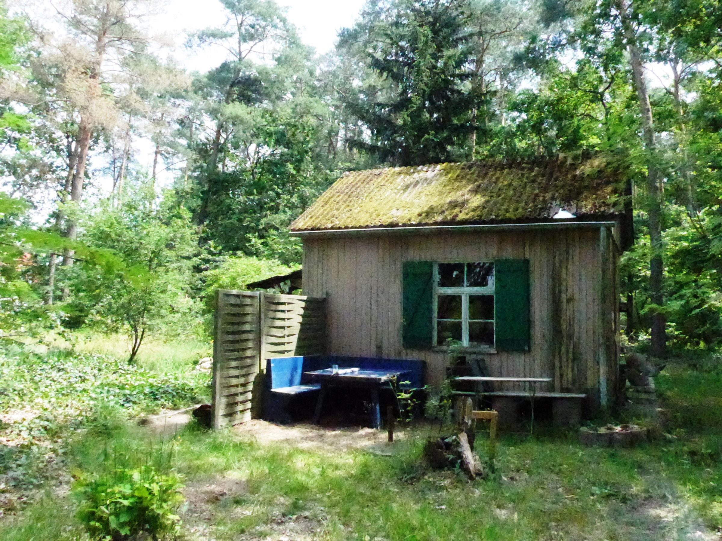 Merianin-Häuschen auf der neuen Biotopfläche