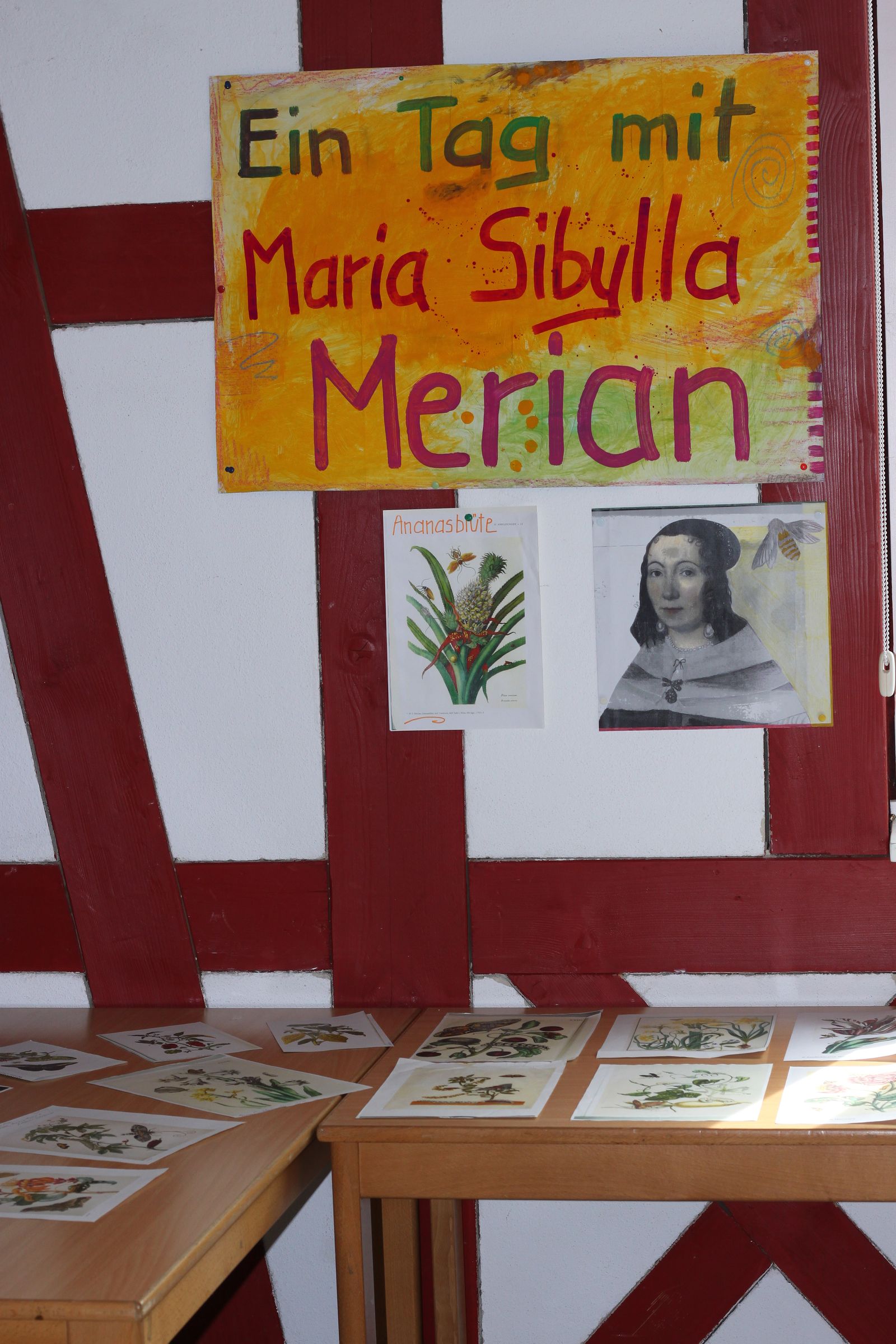 Ein Tag mit Maria Sibylla Merian