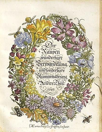 Titelkupfer des Zweiten Raupenbuchs