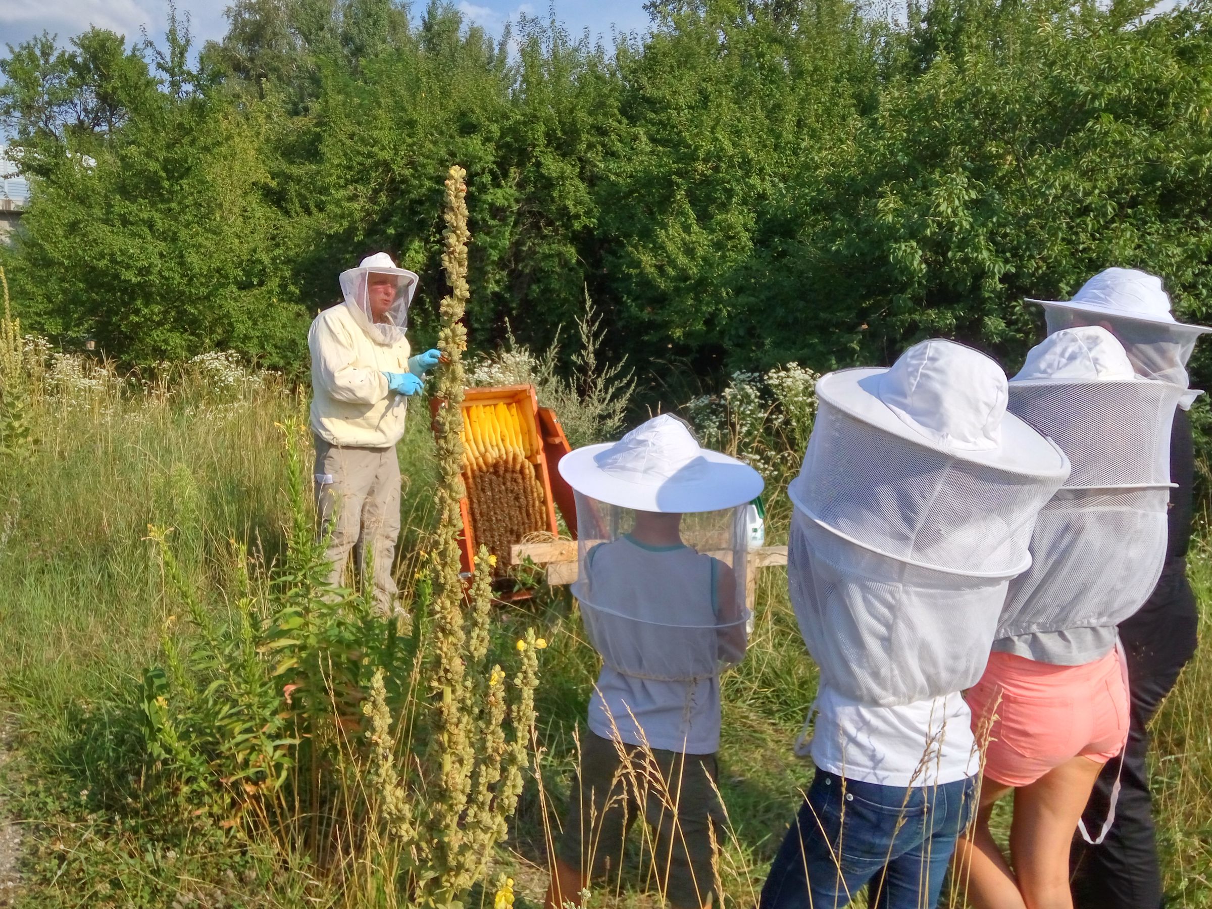 Besuch beim Imker