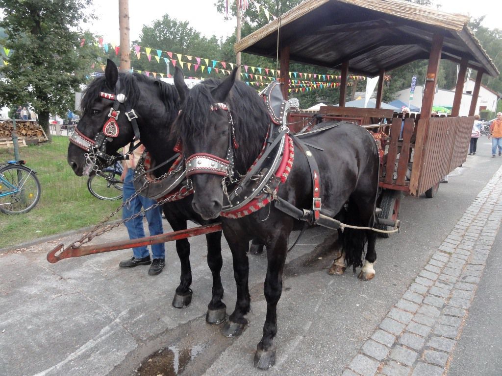 ... und der Pferdekutsche zur geplanten Trasse Spatenstichfest