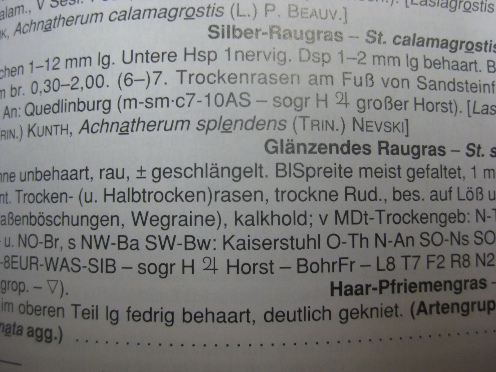 Auszug aus dem Rothmaler