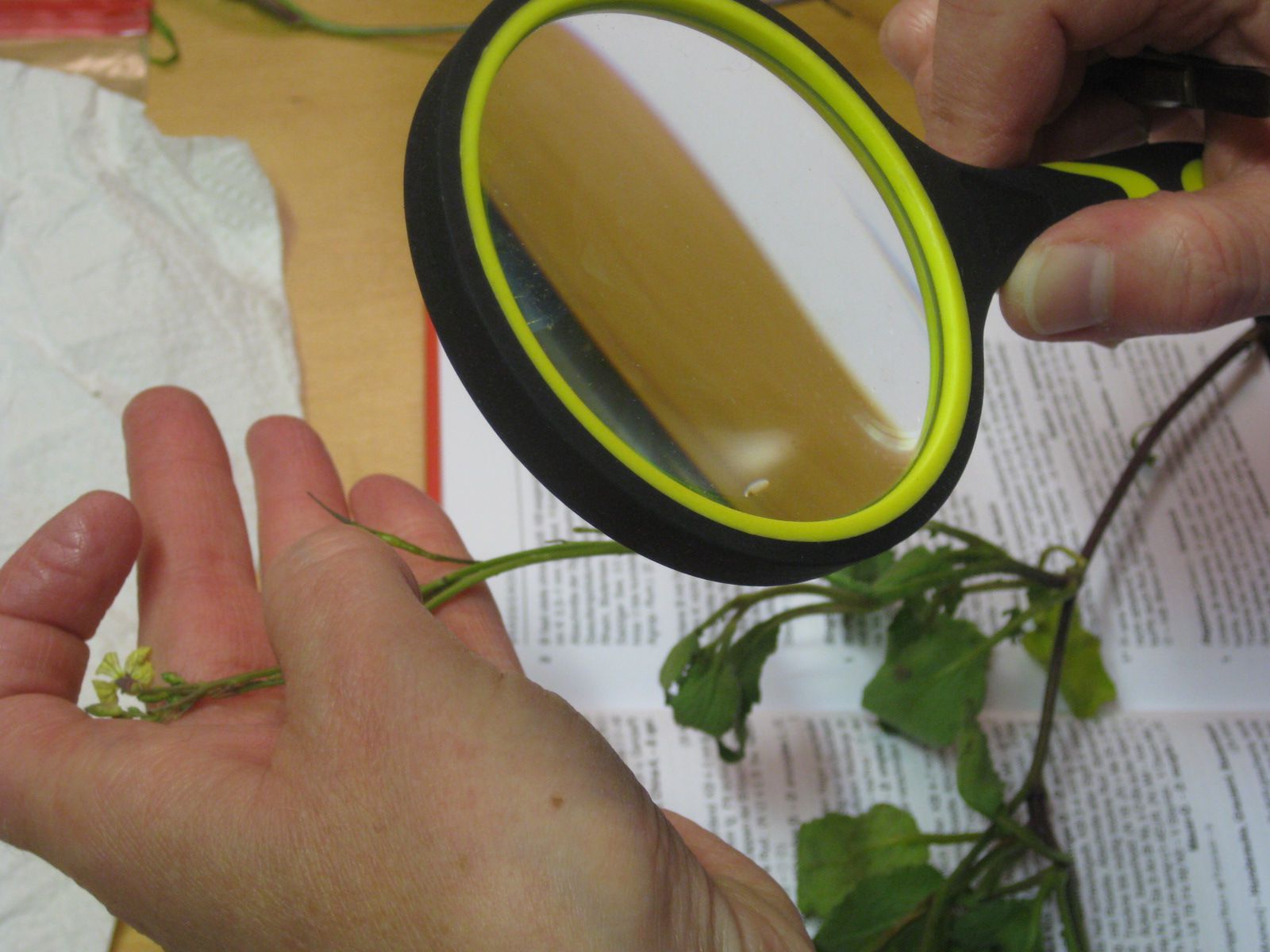 Wichtiges Arbeitswerkzeug