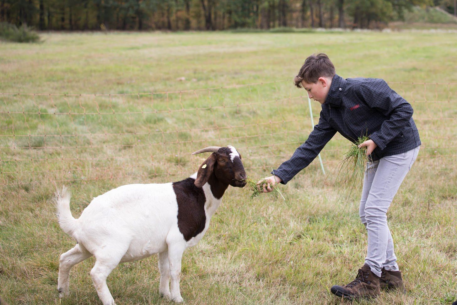 Umweltaktionstag 2017
